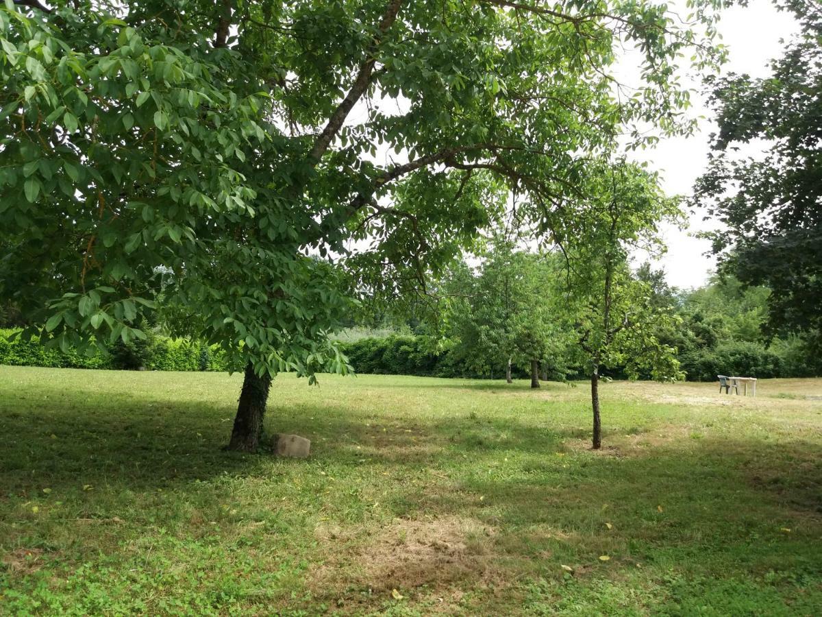 Il Pittore Borgo San Lorenzo