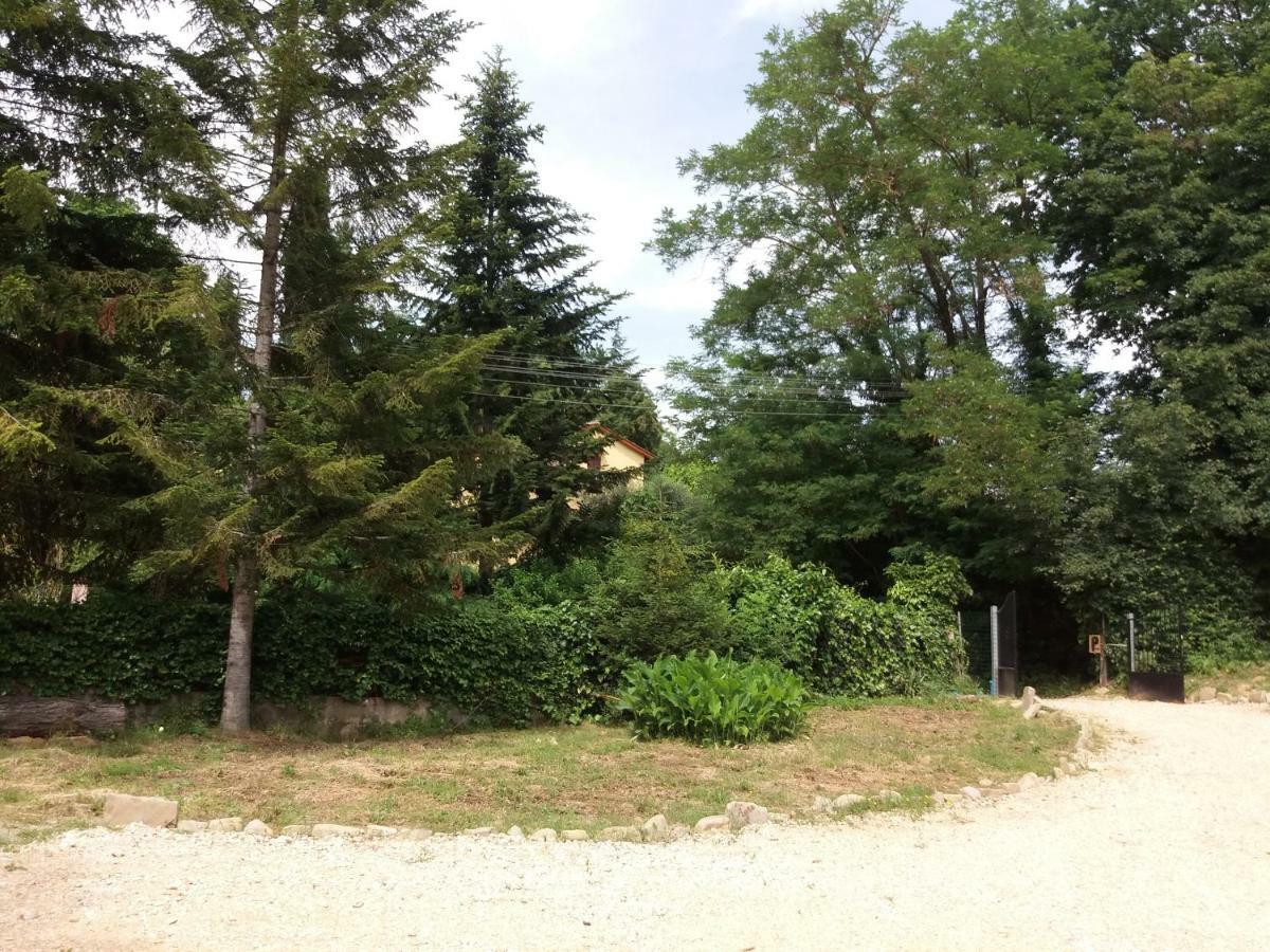 Il Pittore Bed & Breakfast